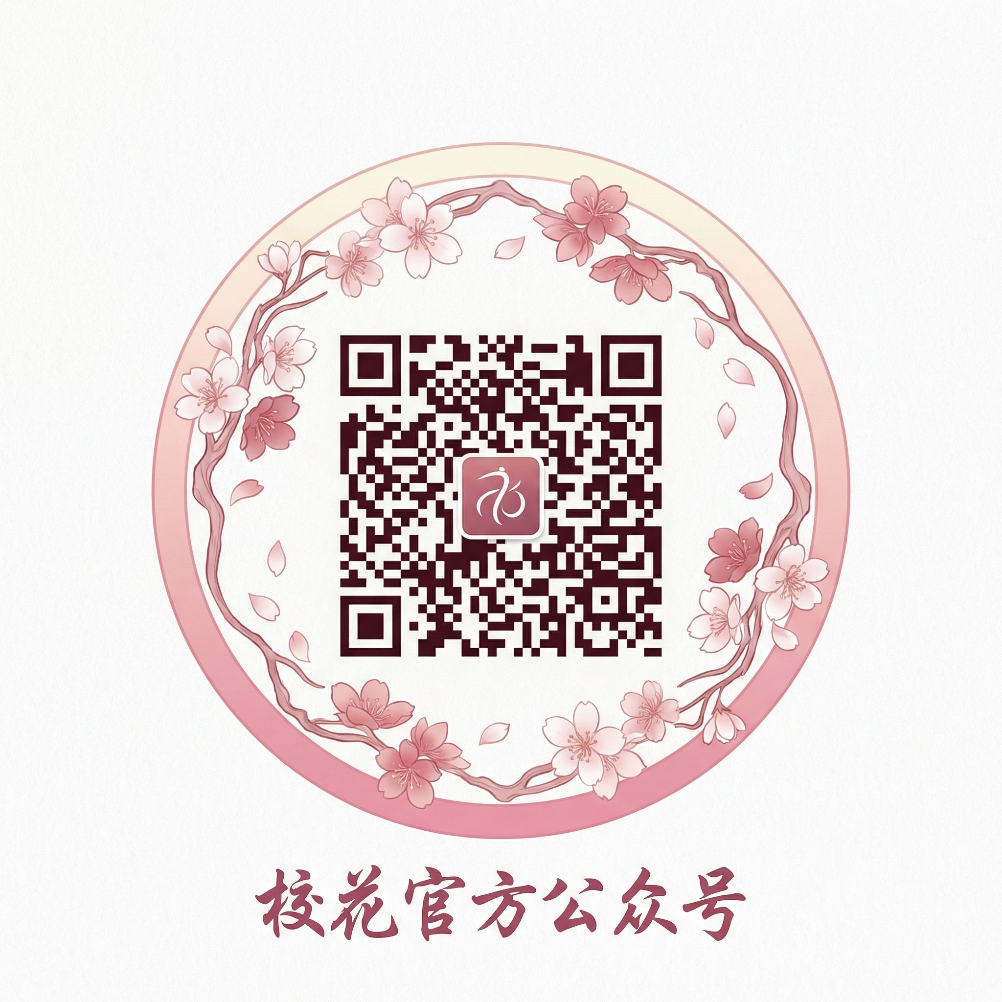 网红主播传媒公众号